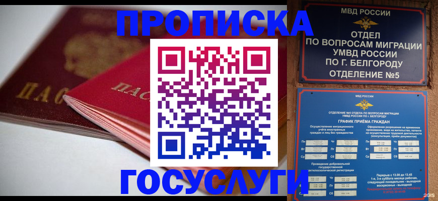 временная регистрация собственник в Балашихе